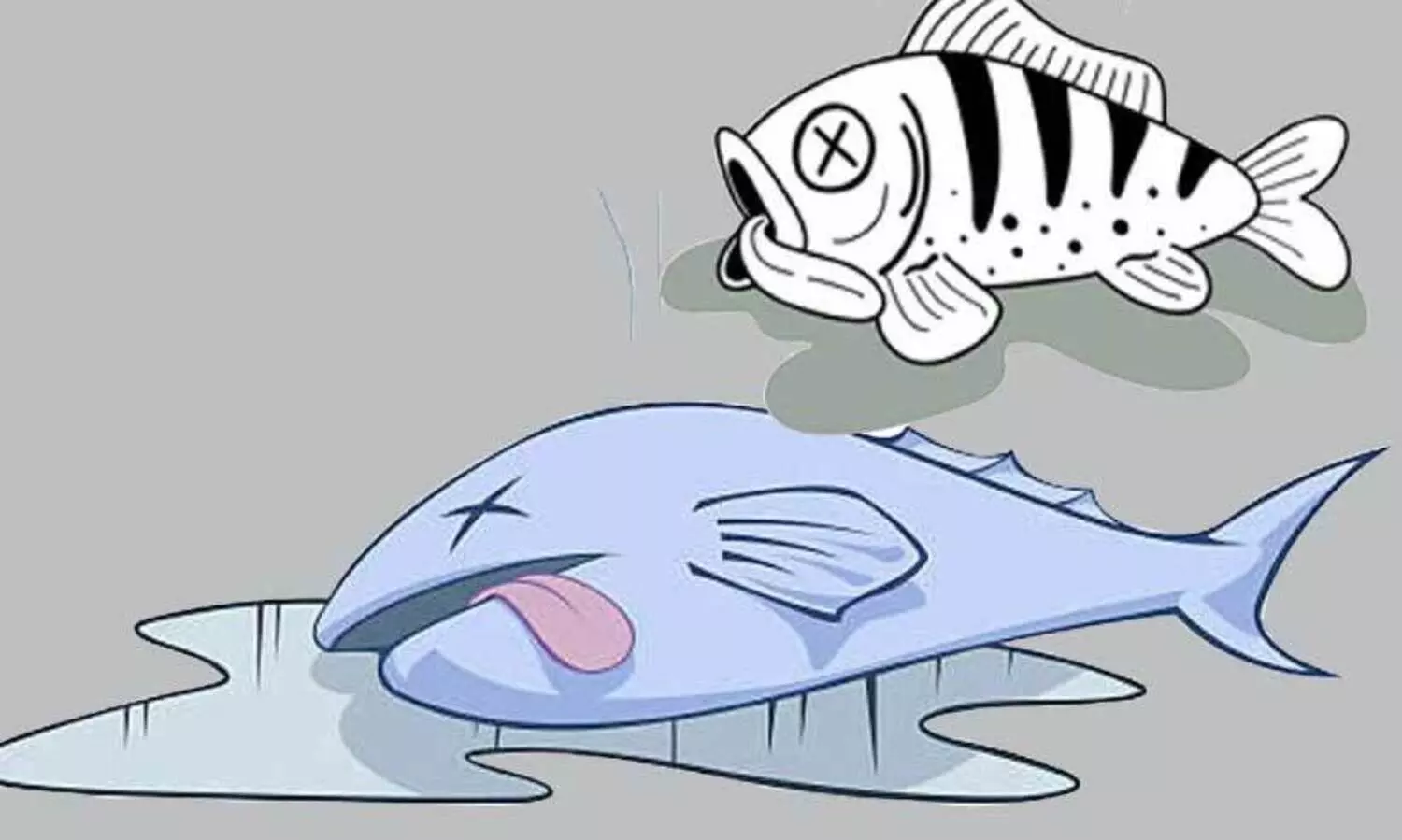 ഭക്ഷ്യസുരക്ഷ വകുപ്പ്​ കാര്യക്ഷമമല്ല; ജില്ലയില്‍ രാസവസ്തുക്കള്‍ കലര്‍ന്ന മത്സ്യം വ്യാപകം