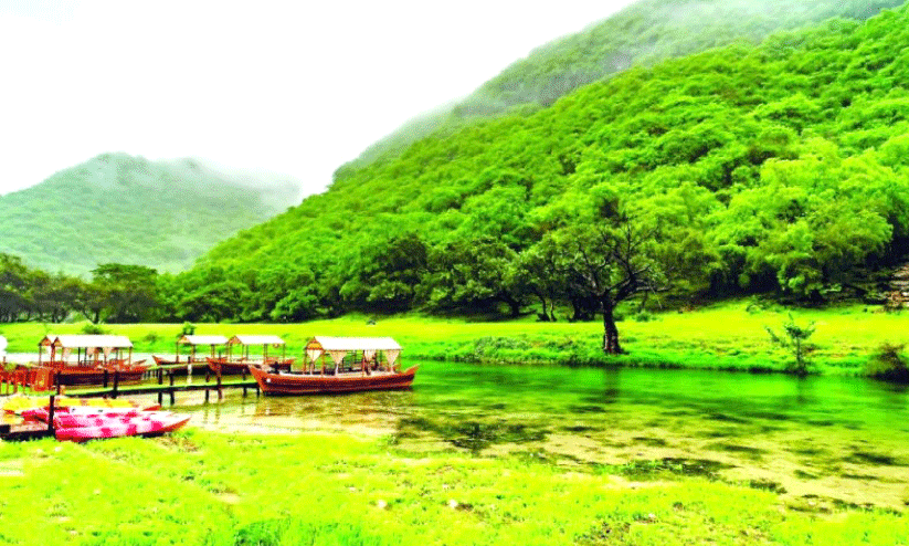 സ​ലാ​ല​യി​ൽ​നി​ന്നു​ള്ള കാ​ഴ്ച