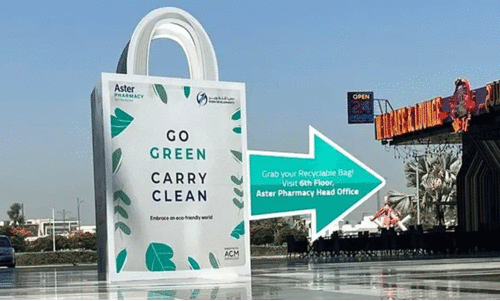 Go Green Carry Clean