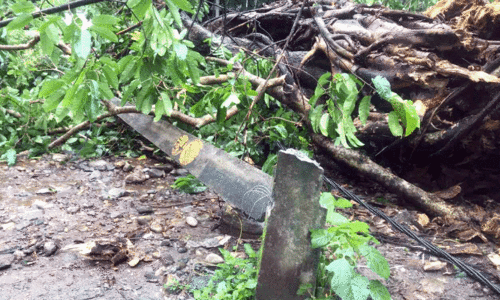 kannur news kannur news