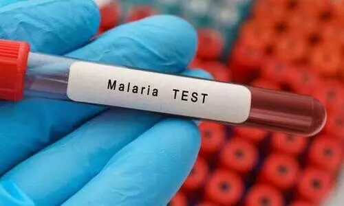 പൊന്നാനിയിൽ മലമ്പനിയില്ല; താലൂക്കാശുപത്രിയിലെ പരിശോധനയിൽ ഗുരുതര പിഴവ്