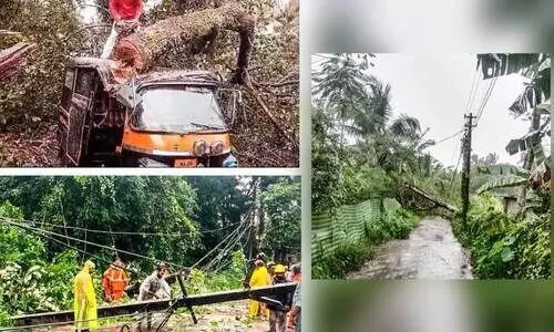 കാറ്റിൽ വിറങ്ങലിച്ച് ജില്ല