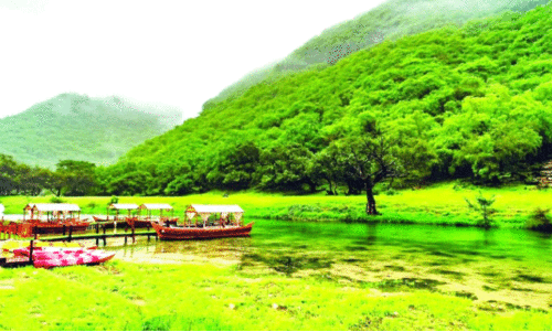 സ​ലാ​ല​യി​ൽ​നി​ന്നു​ള്ള കാ​ഴ്ച