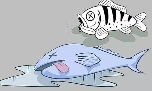 ഭക്ഷ്യസുരക്ഷ വകുപ്പ്​ കാര്യക്ഷമമല്ല; ജില്ലയില്‍ രാസവസ്തുക്കള്‍ കലര്‍ന്ന മത്സ്യം വ്യാപകം