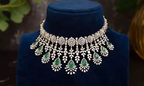 അഞ്ച് ലക്ഷം രൂപയുടെ ഡയമണ്ട് നെക്ലേസ് വലിച്ചെറിഞ്ഞത് ചവറ്റുകുട്ടയിലേക്ക്