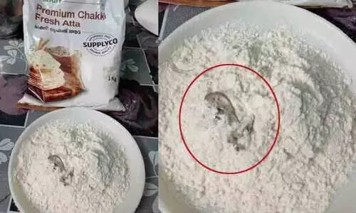 സപ്ലൈകോയുടെ ആട്ടയിൽ ചത്ത പല്ലി..!