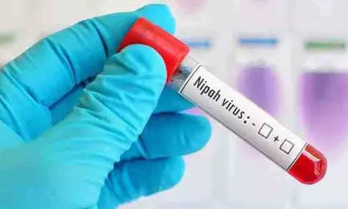 കണ്ണൂരിൽ രണ്ട് പേർക്ക് നിപ സംശയം; സാമ്പിളുകൾ പരിശോധനക്ക് അയക്കും കണ്ണൂരിൽ രണ്ട് പേർക്ക് നിപ സംശയം; സാമ്പിളുകൾ പരിശോധനക്ക് അയക്കും