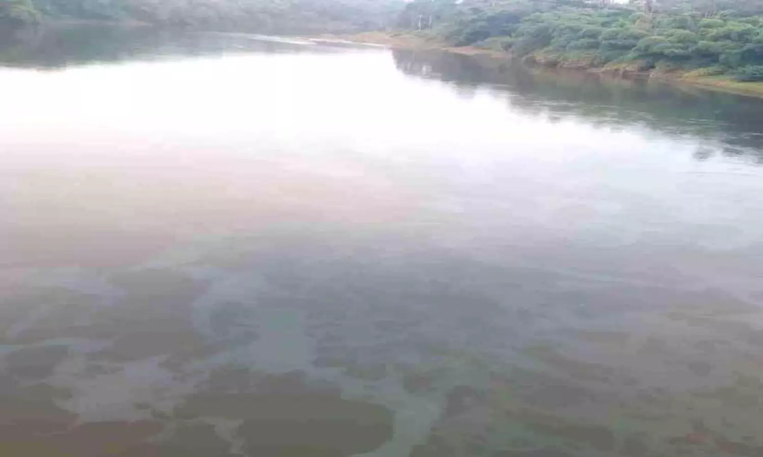 oil mixed water in pampa river