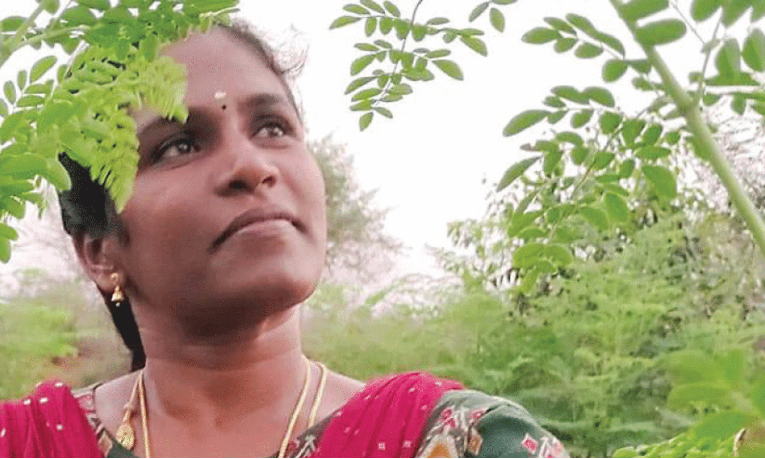 മുരിങ്ങയിൽനിന്ന് പൊന്ന് വിളയിച്ച് പൊന്നരശി