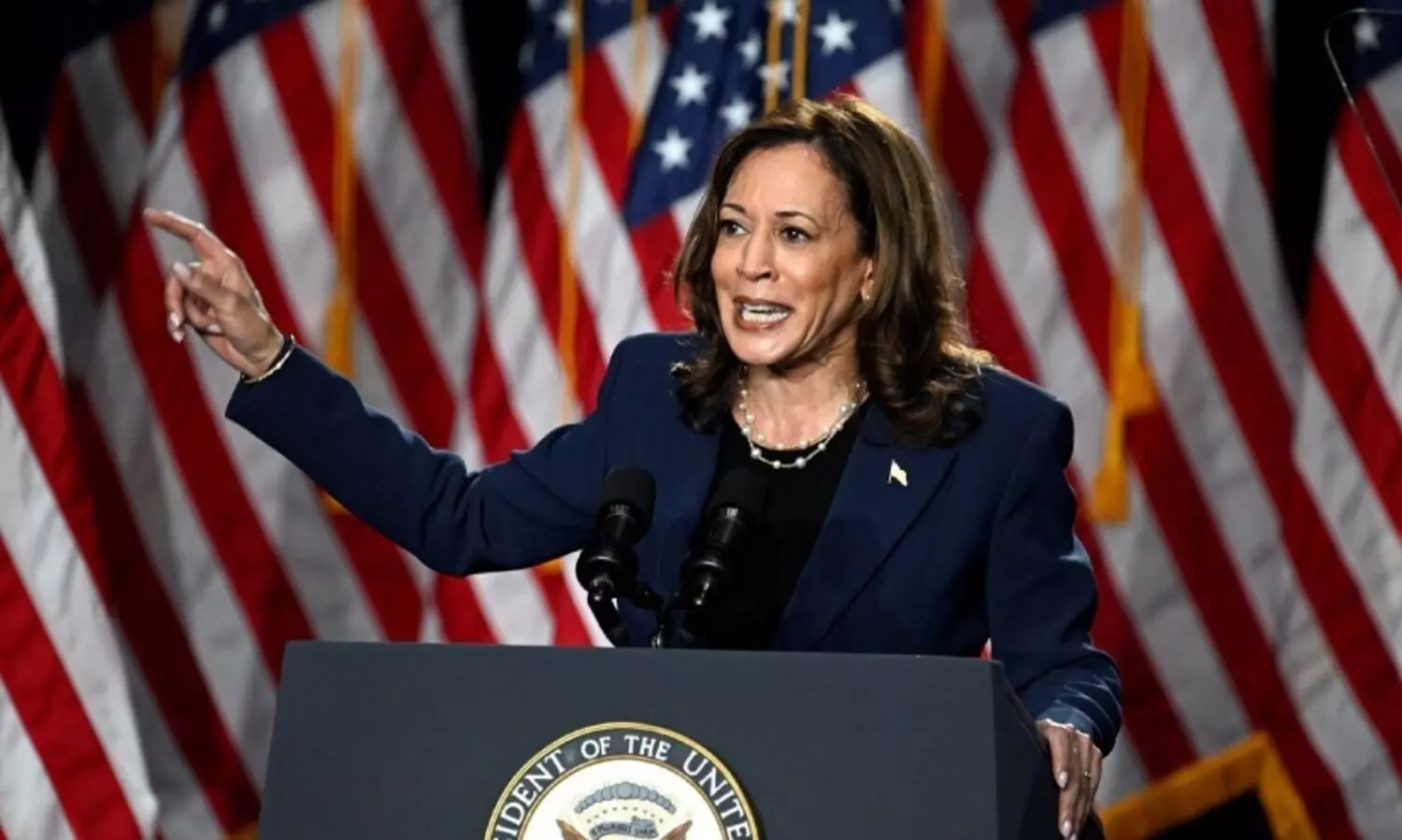 യു.എസ്സിലെ കുടുംബശ്രീകളുടെ പിന്തുണ തുണക്കുമോ കമലയെ?; സൊറോറിറ്റികളുടെ വോട്ടിൽ കണ്ണുനട്ട് ഡെമോക്രാറ്റുകൾ