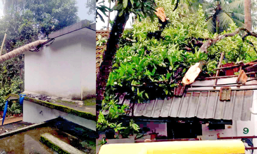 ചു​ഴ​ലി​ക്കാ​റ്റ്; വ്യാ​പ​ക നാ​ശം