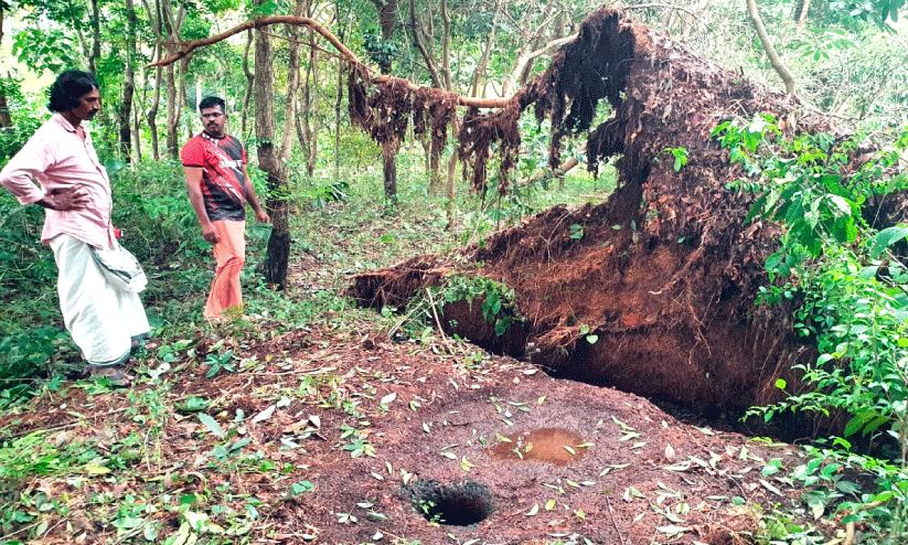 കോ​ള​ംകു​ള​ത്ത് ചെ​ങ്ക​ല്ല​റ​ക​ളും ഗുഹയും ക​ണ്ടെ​ത്തി