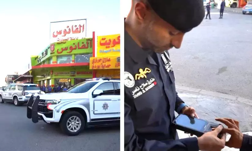 inspection inspection