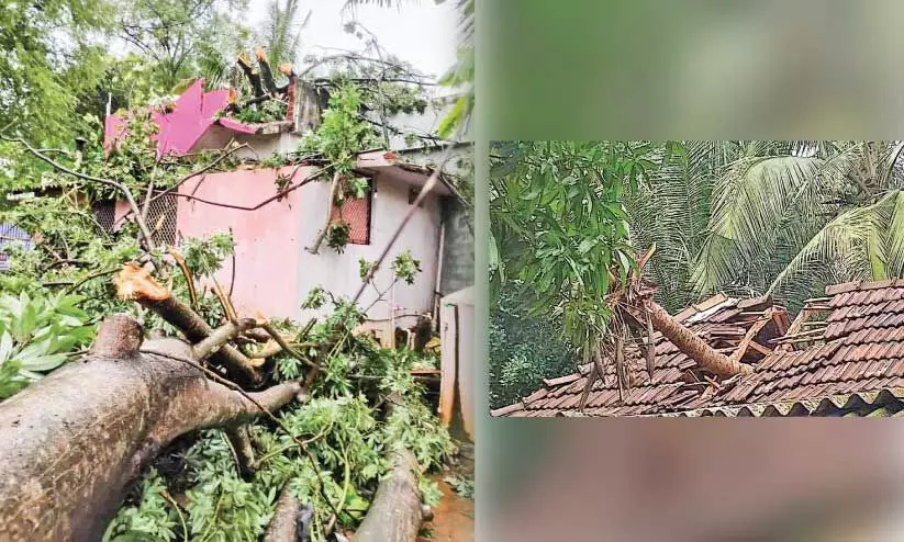 നാശം വിതച്ച് കാറ്റ്; ആലത്തൂരിൽ 25 വീടുകളും 50ലേറെ വൈദ്യുതി തൂണുകളും തകർന്നു