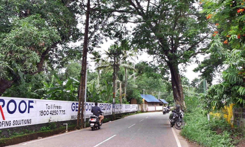 മരം അപകടഭീഷണി; പ്രതിഷേധവുമായി നാട്ടുകാർ