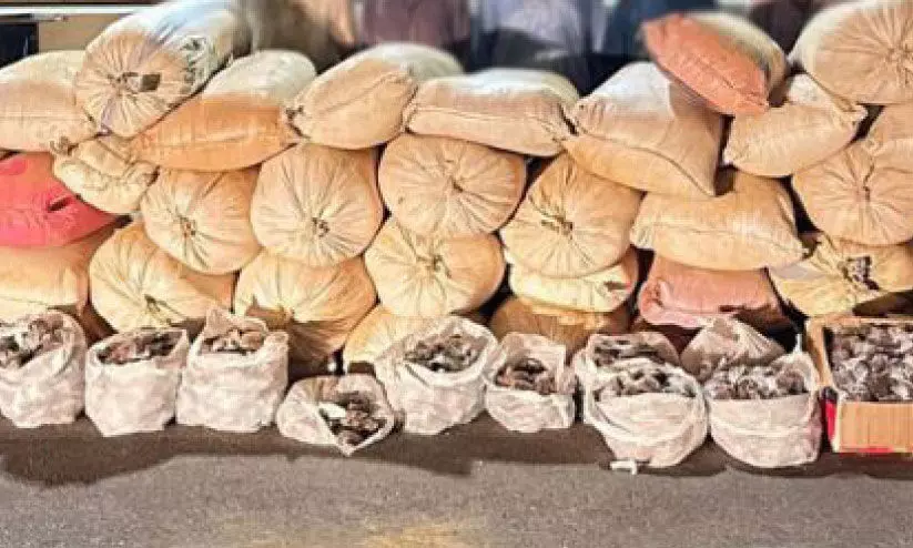 പുകയില ഉൽപന്നങ്ങൾ പുകയില ഉൽപന്നങ്ങൾ