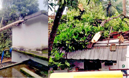 ചു​ഴ​ലി​ക്കാ​റ്റ്; വ്യാ​പ​ക നാ​ശം