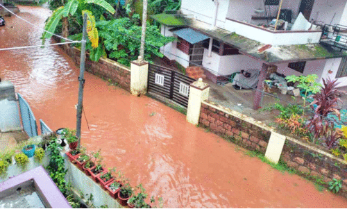 ചാലക്കരപൊയിൽ റോഡിൽ യാത്ര ചെയ്യാൻ സാഹസികത വേണം