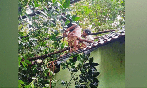 മഴക്കു പിന്നാലെ മിന്നൽച്ചുഴലി; ജില്ലയിൽ വൻ നാശനഷ്ടം