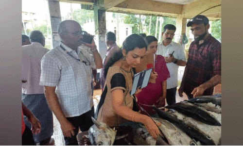 മുദ്രണം ഇല്ലാത്ത ത്രാസുകൾപിടിച്ചെടുത്തു