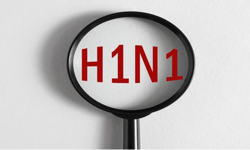 H1N1