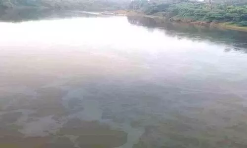 oil mixed water in pampa river