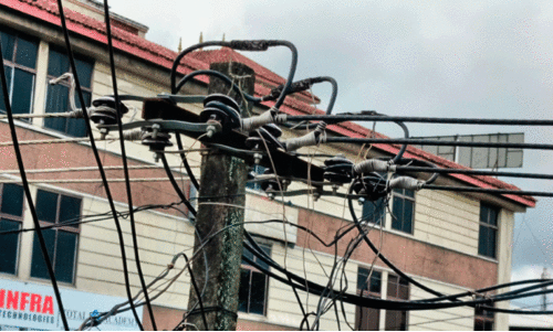 കെ.എസ്.ഇ.ബിയുടെ കവചിത ലൈനുകൾ പുറത്ത് കേന്ദ്രപദ്ധതിയിൽ കോടികളുടെ നഷ്ടം കെ.എസ്.ഇ.ബിയുടെ കവചിത ലൈനുകൾ പുറത്ത് കേന്ദ്രപദ്ധതിയിൽ കോടികളുടെ നഷ്ടം