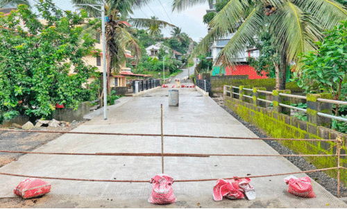 മൈ​താ​നിപ​ള്ളി റോ​ഡി​ലെ പു​തി​യ പാ​ലം 27ന് ​തു​റ​ക്കും