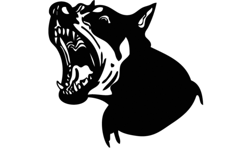 പേവിഷബാധ സംശയിക്കുന്ന തെരുവ് നായെ ചത്ത നിലയിൽ കണ്ടെത്തി പേവിഷബാധ സംശയിക്കുന്ന തെരുവ് നായെ ചത്ത നിലയിൽ കണ്ടെത്തി