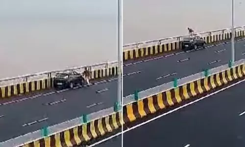 അടല്‍സേതുവില്‍ കാര്‍ നിര്‍ത്തി കടലില്‍ ചാടി യുവ എൻജിനീയർ -വിഡിയോ