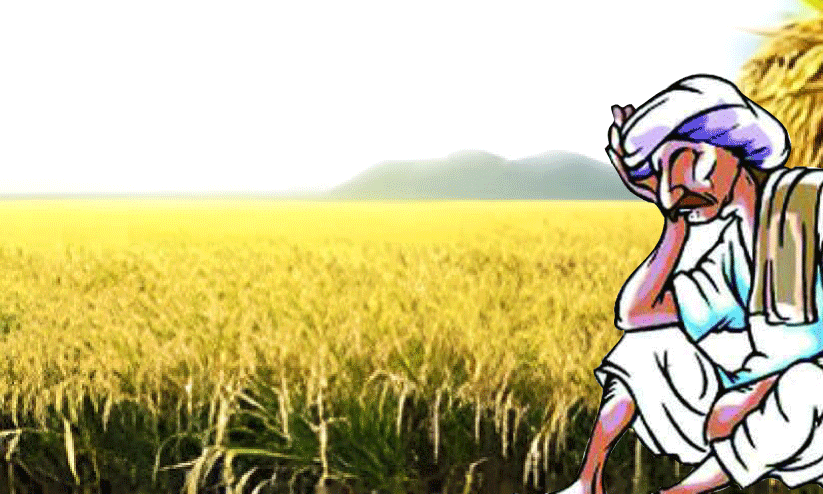 നാലുമാസത്തെ മഴ; കൃഷിനാശം 30.42 കോടി