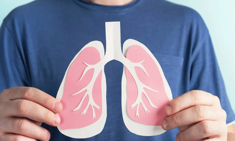 ഇവ കഴിക്കാം ആരോഗ്യം നേടാം; ആരോഗ്യമുള്ള ശ്വാസകോശത്തിനായുള്ള ഭക്ഷണങ്ങള് ഇവ കഴിക്കാം ആരോഗ്യം നേടാം; ആരോഗ്യമുള്ള ശ്വാസകോശത്തിനായുള്ള ഭക്ഷണങ്ങള്