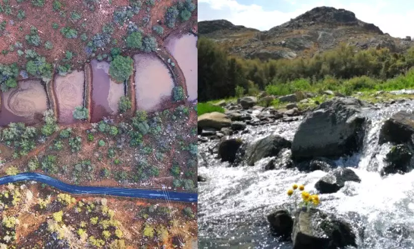 വാദി വാജ് വാദി വാജ്