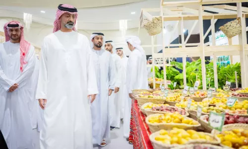liwa ajman dates and honey festival