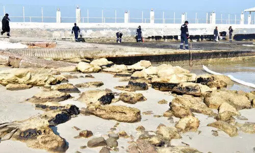 എണ്ണ ചോർച്ച എണ്ണ ചോർച്ച