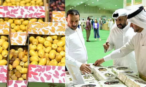 ഈത്തപ്പഴ മേള