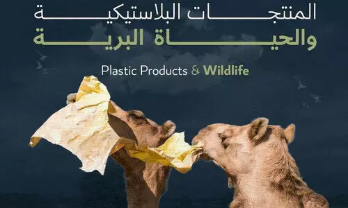 പോ​സ്റ്റ​റു​ക​ൾ