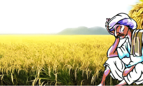 നാലുമാസത്തെ മഴ; കൃഷിനാശം 30.42 കോടി