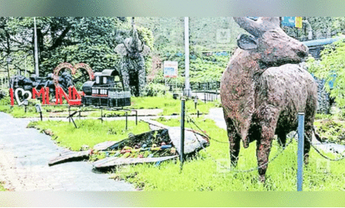 Munnar Upcycled Garden