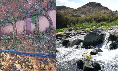 വാദി വാജ് വാദി വാജ്