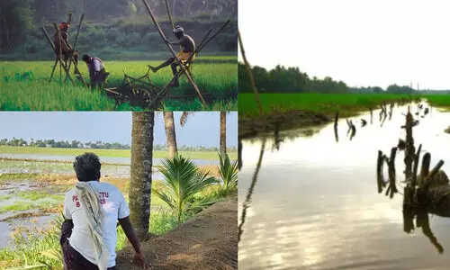 കുട്ടനാട് കാർഷിക മേഖലയിലെ പമ്പിങ് തൊഴിലാളികളുടെ കൂലി വർധിപ്പിച്ചു