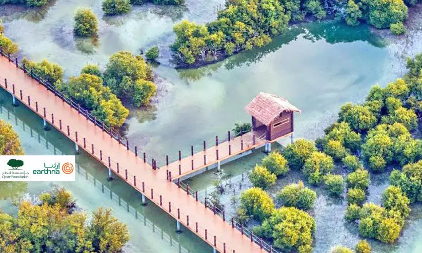 കണ്ടൽക്കാടുകൾ