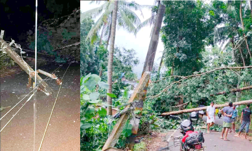 കാ​റ്റും മ​ഴ​യും; എ​ട​ത്ത​നാ​ട്ടു​ക​ര​യി​ൽ ക​ന​ത്ത നാ​ശം