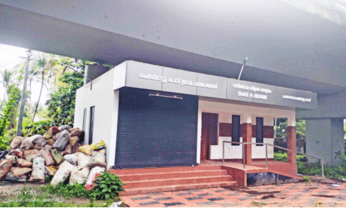 Roadside rest center