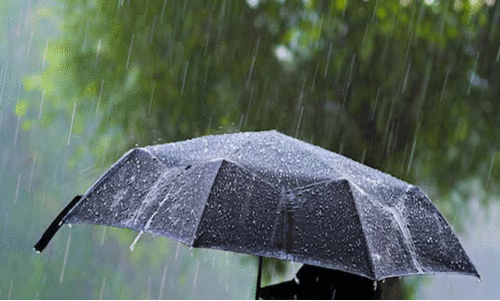 മഴ; കണ്ണൂരും, കാസർകോടും യെല്ലോ അലർട്ട്