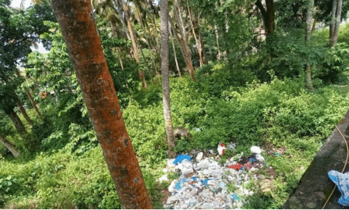 തുറമുഖത്തിന് സമീപം ഏറ്റെടുത്ത സ്ഥലം കാട്​മൂടി