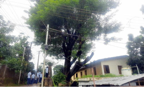 മ​ര​ണ ഭീ​തി​യി​ൽ ഈ​സ്റ്റ് ഒ​റ്റ​പ്പാ​ലം ഗ​വ. സ്കൂ​ൾ