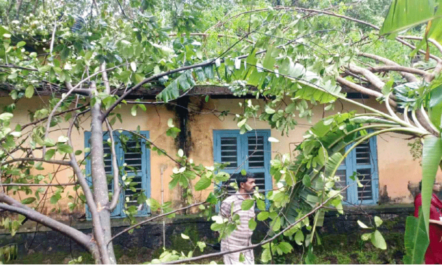 മലയോരത്ത് ഒരുകോടിയുടെ വിളനാശം