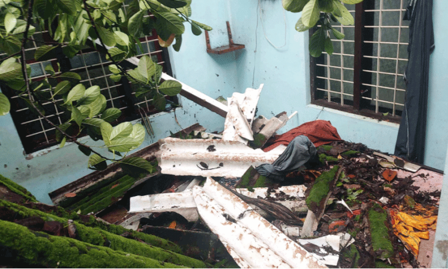 മരം വീണ് വീട് തകര്‍ന്ന് യുവതിക്ക് പരിക്ക്