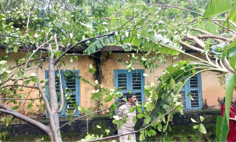 മലയോരത്ത് ഒരുകോടിയുടെ വിളനാശം മലയോരത്ത് ഒരുകോടിയുടെ വിളനാശം